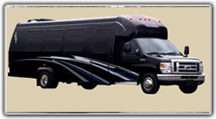 Party Bus Limo / 20 pass